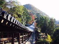 回廊の画像を拡大表示