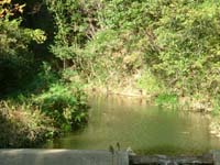 血吸川上流の画像を拡大表示