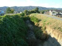 血吸川の画像を拡大表示